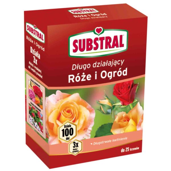 roza100dni